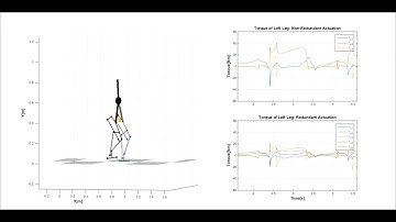 Bi-articular Humanoid Robot (Concept and Simulation)