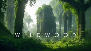WildWood - Echoing Green - Ethereal Ambient Music - Sleep and Relaxation