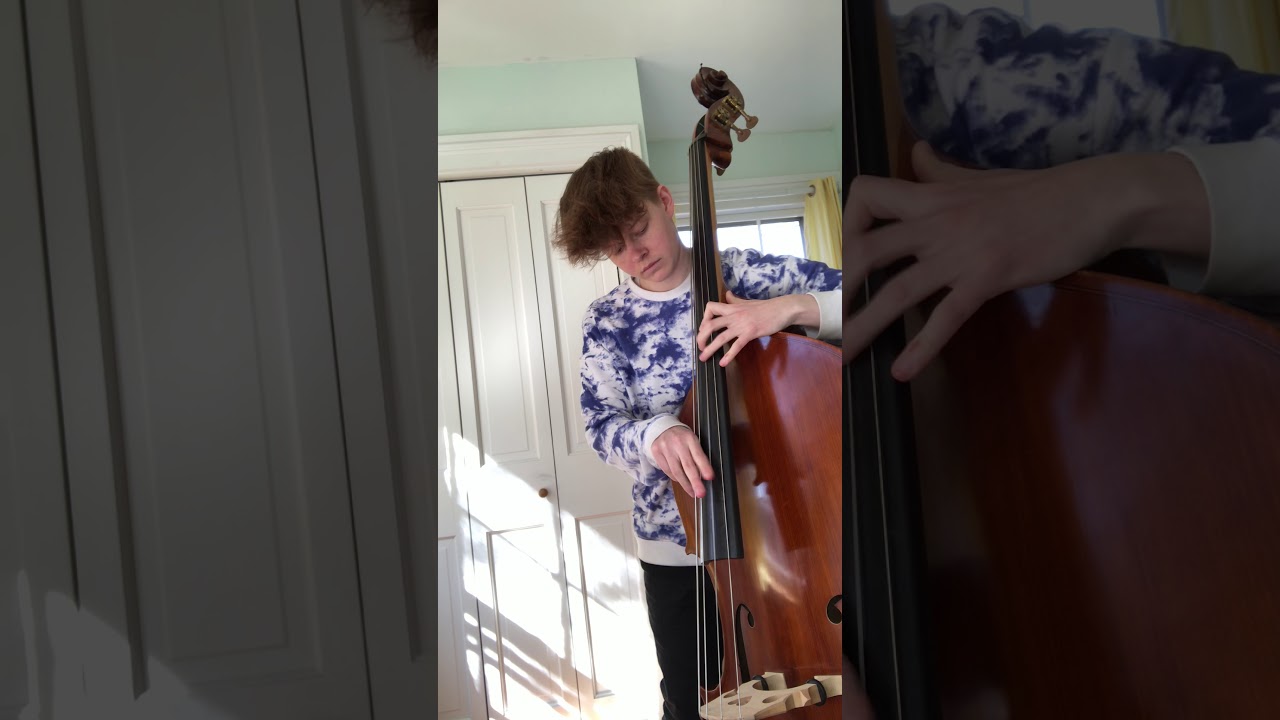 River Adomeit - Martha My Dear (Solo Bass)