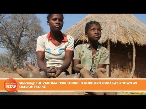 Video: Vadoma (sapadi): Where Do Ostrich People Live? - Alternative View