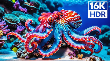 ✨ Beyond the Waves | Witness the Ocean’s Secret World in Stunning 16K HDR