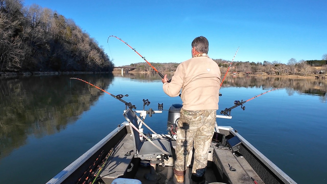 Catching Winter Catfish All Day Long