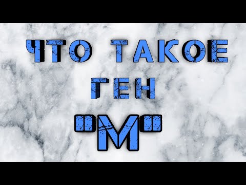 Видео: Что такое Dog Bloat?