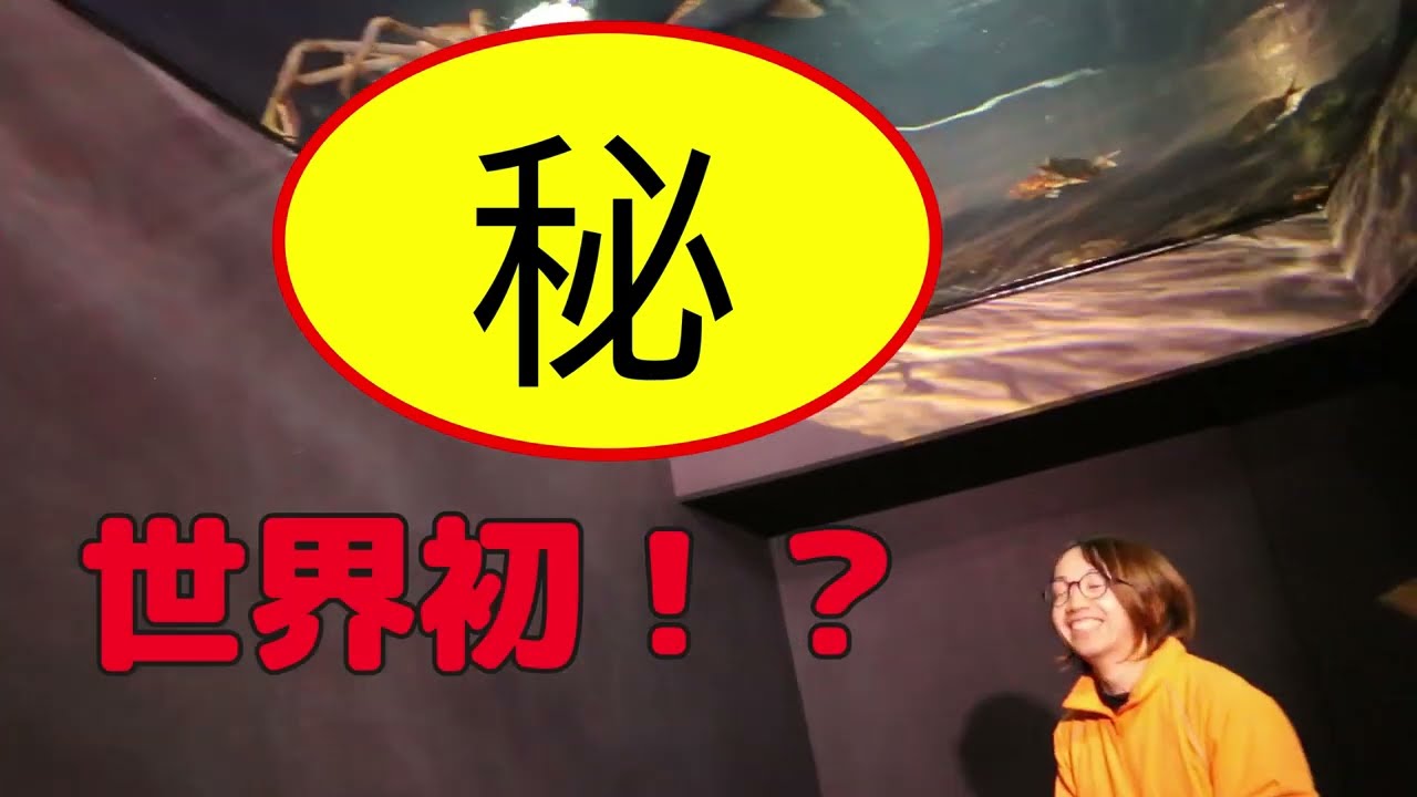 世界初！？タカアシガニがいっぱいの「深海大水塊水槽」をご紹介！その①