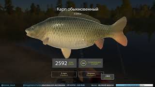 Фарм и общение на озере Медвежье  Стрим Русская рыбалка 4