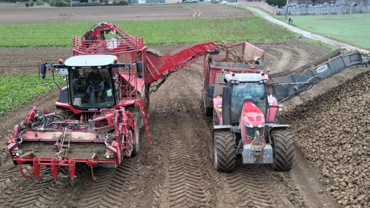 2 ARRACHEUSE + 2 TRANSBOARDEUR