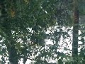 Сброс воды в Лаппеенранте.
