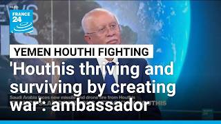 Houthis 'are thriving and surviving by creating war', Yemen ambassador says • FRANCE 24 English