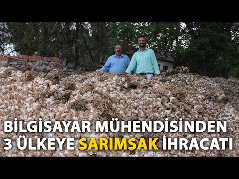 Video: Society Sarımsak Bitkisi: Bahçede Toplum Sarımsak Yetiştirmek