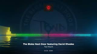 The Bloke Next Door Featuring David Rhodes - Too Much #Ukgarage #Edm #Club #Dance #House