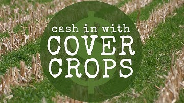 Cash in with Cover Crops