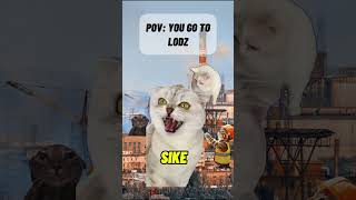 POV: You go to Poland #usa #usgeography #poland #travel