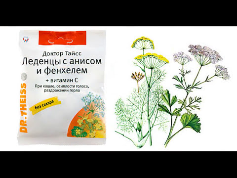 ПРЯНОСТИ И СПЕЦИИ.АНИС. советы для начинающих огородников