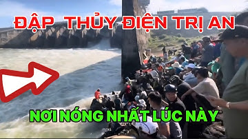 Thủy điện Trị An đóng cửa xả lũ ,hàng ngàn người vây bắt đàn cá khủng mắc cạn | bắt cá hồ Trị an 