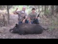 2 Hard Charging Hogs And A Monster Boar Killed By Women