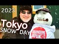 Tokyo Snow Day 2023 - Live