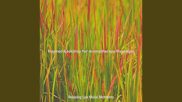 Inspired Backdrops for Steam Baths