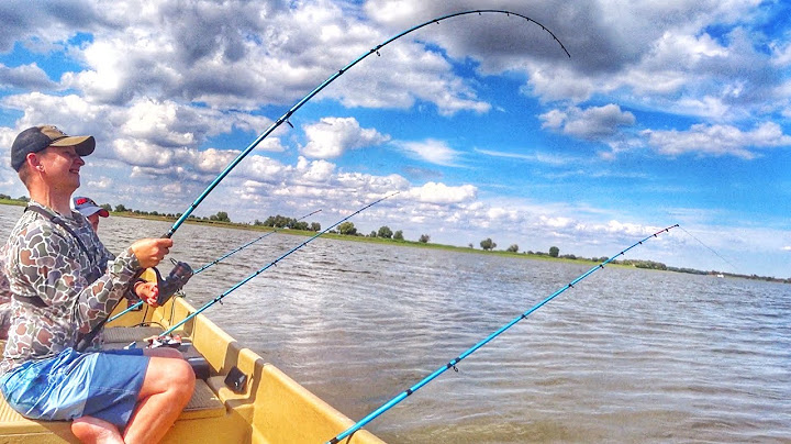 CATFISH ON BONKAS. THEY DRAG INTO THE DEEP! THIS HOLE IS CLOGGED WITH FISH! Donk fishing. Fishing...