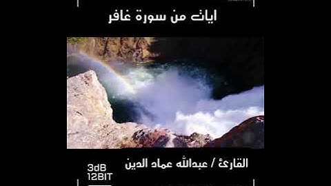 القارئ عبدالله عماد الدين / سورة غافر