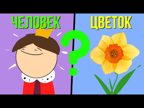 Признаки того, что вы встречаетесь с нарциссом. Как ведут себя нарциссы в отношениях?