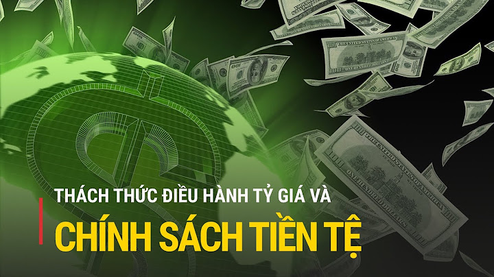 Đánh giá về chính sách tỷ giá năm 2023 năm 2024