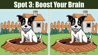 Spot The Difference : Spot 3 - Boost Your Brain | Find The Difference #192