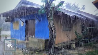 RURAL LIFE IN INDONESIA, WALKING IN HEAVY RAIN AND THUNDERSTORM, VILLAGE AMBIENCE
