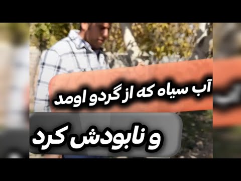 اگر از درخت گردو آب سیاه میاد این ویدئو را ببین
