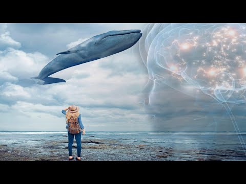 Ученые раскрыли тайну