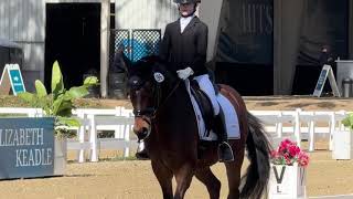 2025 HITS Del Mar Dressage Opener: Intro Test C