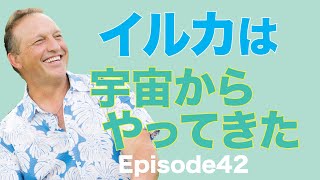 イルカは宇宙からやってきた! l リチャード・ホランド、ハッピーマン【ハワイで野生のイルカと泳ぐ起業家】