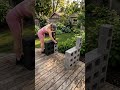 Turning a few simple bricks into a cozy garden seat was easier and more rewarding #shorts