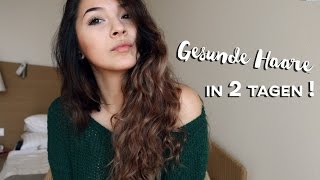 Tipps für lange und gesunde Haare in 2 Tagen + Meine neue Haarfarbe | Michelle Danzinger
