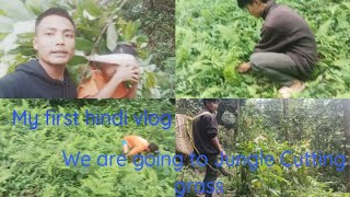 First hindi vlog We are going to Jungle Cutting grass with frd❤️❤️. #new #vlog .@akashbhujel3317 .