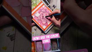 How I use the color cube! - Let's paint a succulent!