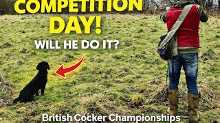 2025 Cocker Championships Training Charlie s Vlog