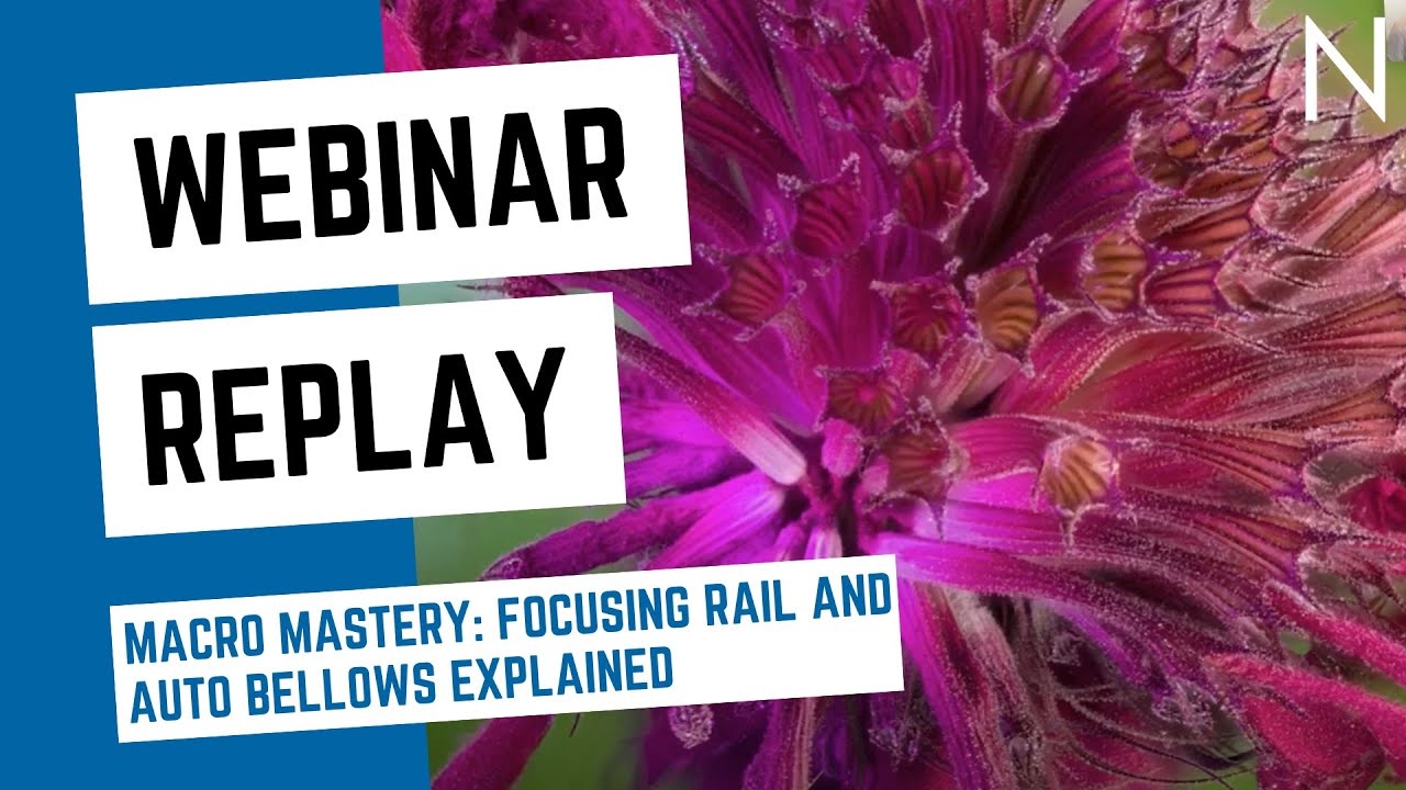 Macro Mastery: Focusing Rails and Auto Macro Bellows Explained (WEBINAR  REPLAY) 