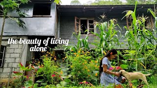 Why alone doesn't mean lonely - living in a rural town (Philippines)