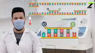 PCR technique screenshot 3