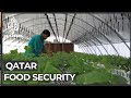 Qatar food security: Doha becomes less reliant on imported goods