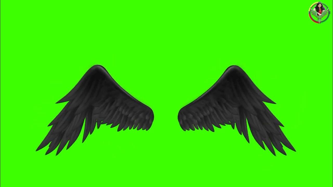 Зеленые крылья фото Fast Moving Wings Green Screen Pack YouTube