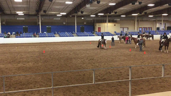 Equitation 1