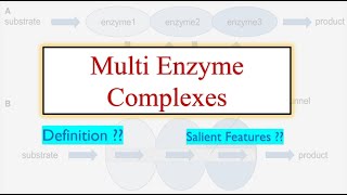 Multienzyme Complexes -definition & Examples (#enzymes  3)