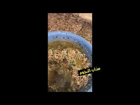 غدير السبتي تطبخ ورق عنب بعدها عروسه وقامت تطبخ