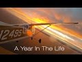 One year through the eyes of a pilot