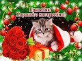 ПОЗИТИВЧИК ДЛЯ ТЕБЯ! ДЛЯ ОТЛИЧНОГО НАСТРОЕНИЯ!