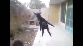 Hayati Tesbih Yapmışım Sallıyormusum 😀😀😀😀 Resimi