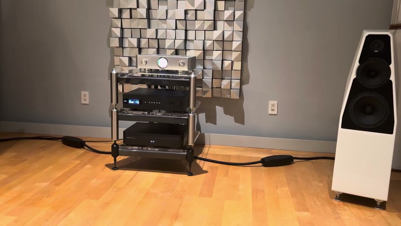 Wilson Audio Sabrina V Speakers w/ Dan D’Agostino Pendulum Integrated Amp + dCS Audio Bartok Apex