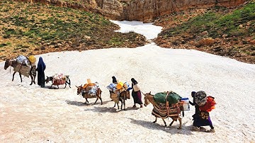 Migration of the nomadic family to the cold region from difficult path