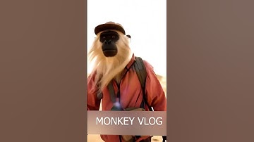 TRENDING MONKEY AI VLOG |AI | VIRAL AI VIDEO #trendingaivideos #viralai #dreamidiots